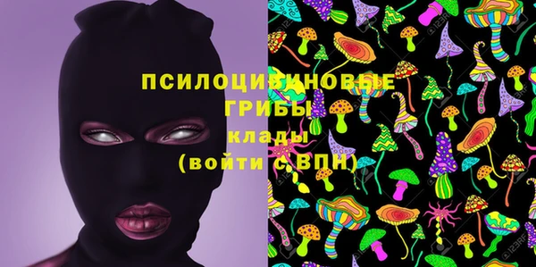 шишки Беломорск