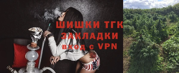 шишки Беломорск