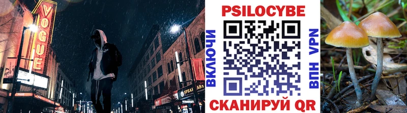 Псилоцибиновые грибы ЛСД  Новокузнецк 