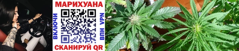 даркнет телеграм  Новокузнецк  Бошки марихуана Bruce Banner 